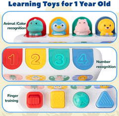 Montessori Baby Pop Up Animals Toy Interactive Sensory Toys for Toddlers